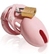 O-ring for BDSM slut training