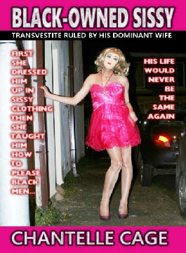 Sissy transformation novel