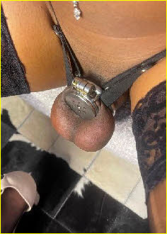 Gay sissy Amber Leigh's tiny cock flattened to nothing by a chastity device
